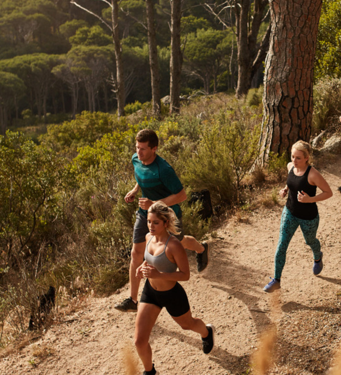 Three people running on a forest trail with trees and greenery in the background.