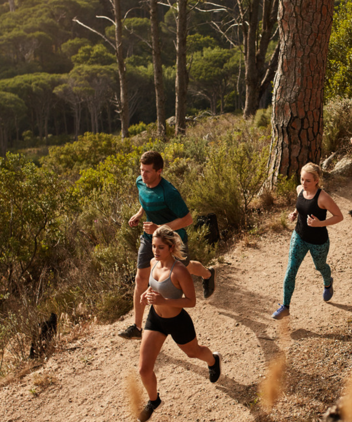 Three people running on a forest trail with trees and greenery in the background.